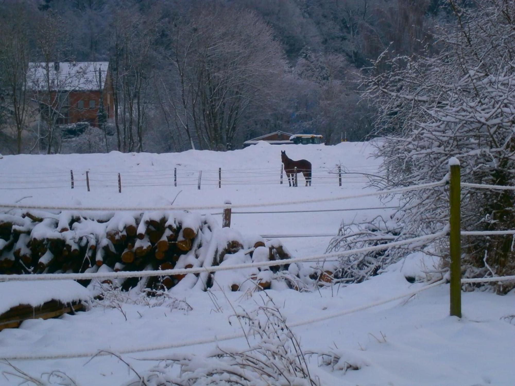 Bed and Breakfast Le Renard'Or Trois-Ponts Exteriér fotografie
