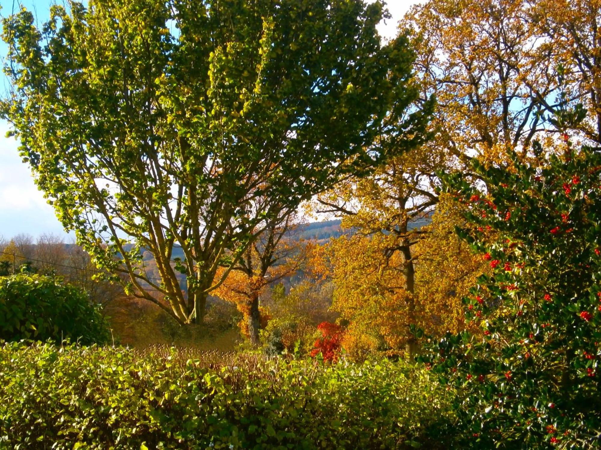 Bed and Breakfast Le Renard'Or Trois-Ponts Exteriér fotografie