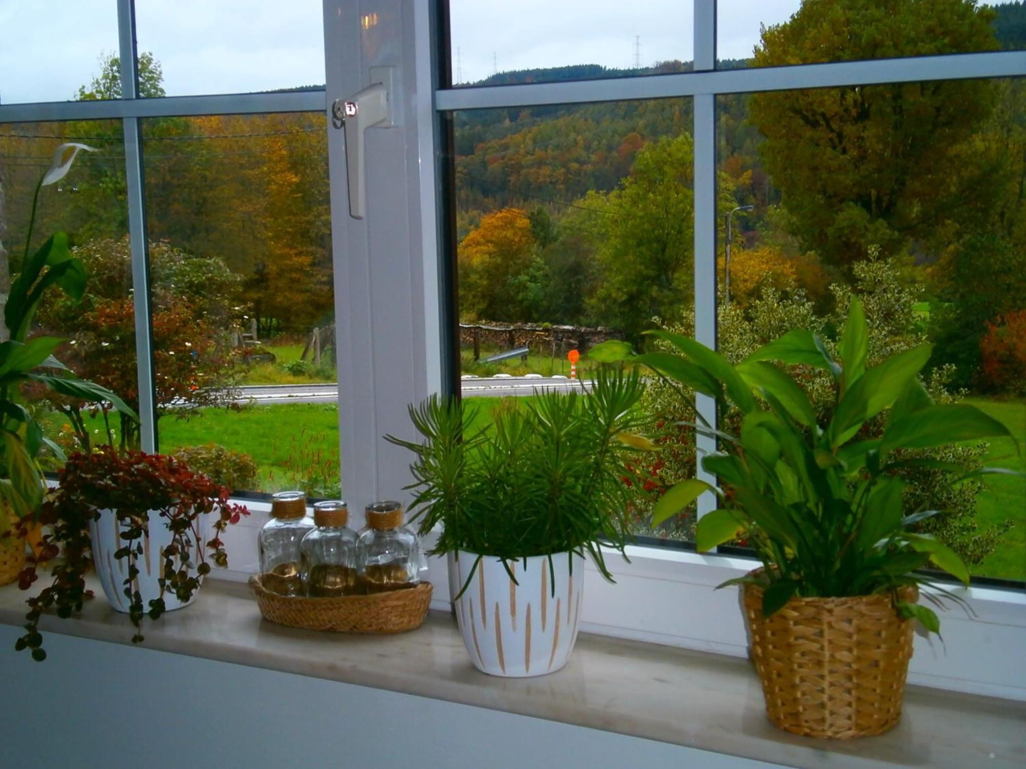 Bed and Breakfast Le Renard'Or Trois-Ponts Exteriér fotografie