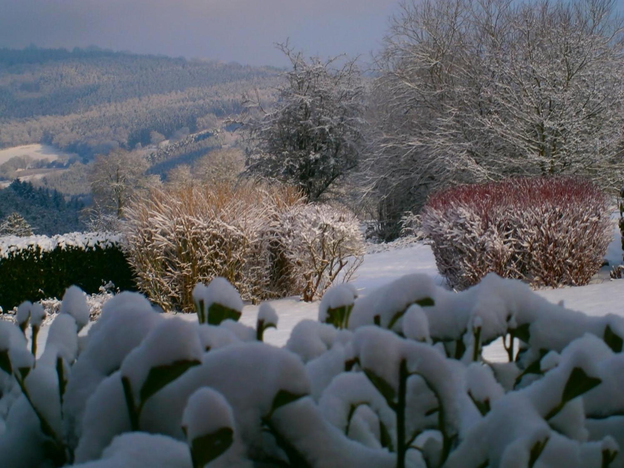Bed and Breakfast Le Renard'Or Trois-Ponts Exteriér fotografie